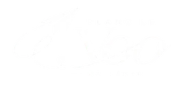 Plano de Voo da Líder